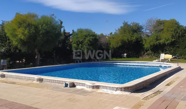 Odsprzedaż - Mieszkanie w bloku - Torrevieja - Punta Prima