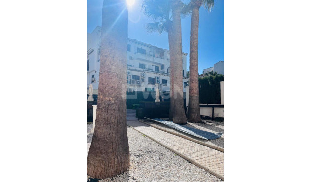 Odsprzedaż - Mieszkanie w bloku - Villamartin - Costa Blanca