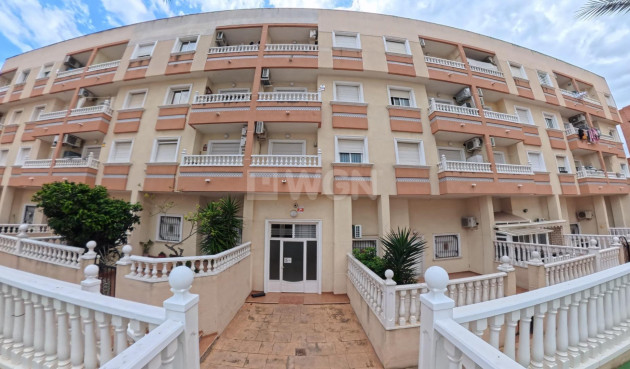 Odsprzedaż - Mieszkanie w bloku - Torrevieja - Centro