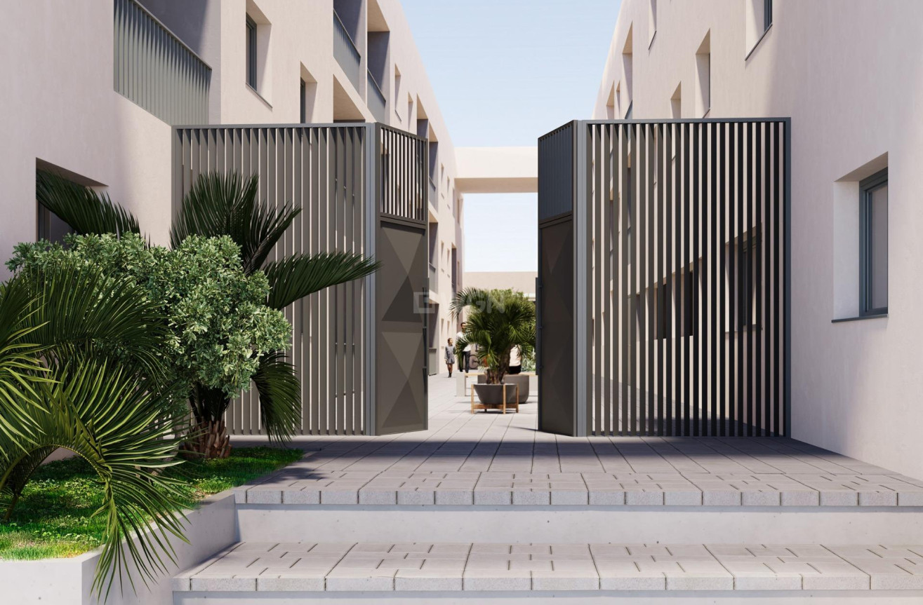 Nowy budynek - Daszek - San Miguel de Salinas - Pueblo