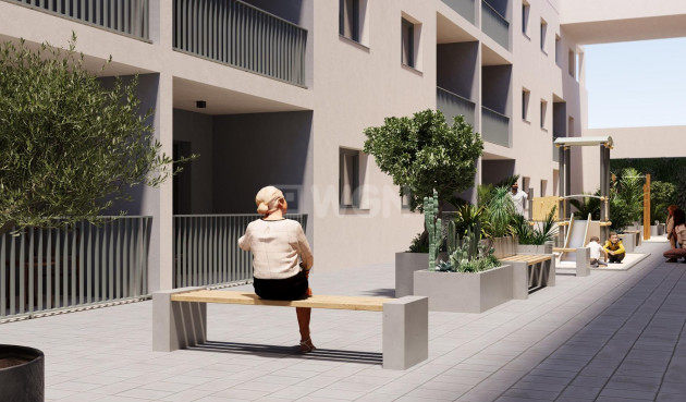 Nowy budynek - Daszek - San Miguel de Salinas - Pueblo