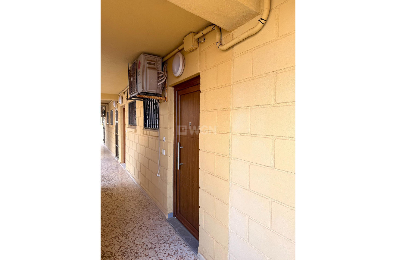 Odsprzedaż - Mieszkanie w bloku - Torrevieja - Cabo Cervera