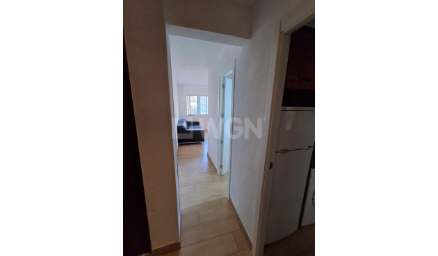 Odsprzedaż - Mieszkanie w bloku - Guardamar del Segura - Guardamar Playa