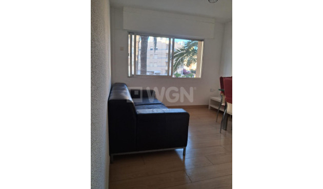 Odsprzedaż - Mieszkanie w bloku - Guardamar del Segura - Guardamar Playa