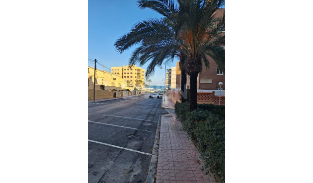 Odsprzedaż - Mieszkanie w bloku - Guardamar del Segura - Guardamar Playa