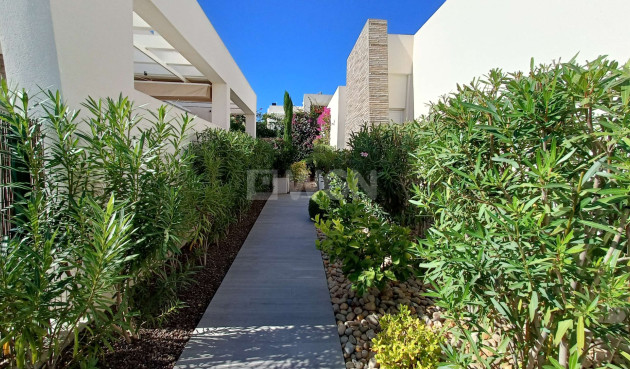 Odsprzedaż - Villa - Algorfa - Inland