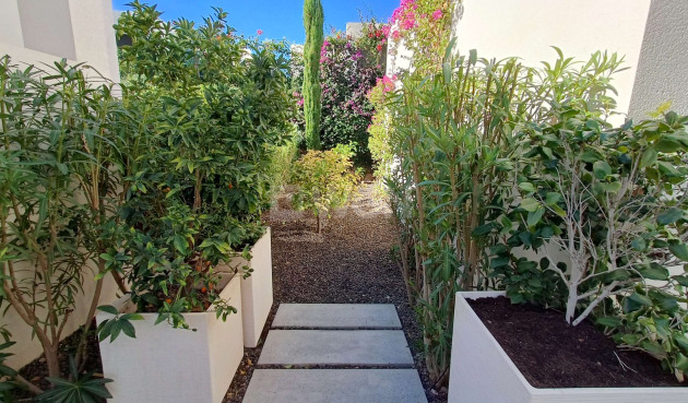 Odsprzedaż - Villa - Algorfa - Inland