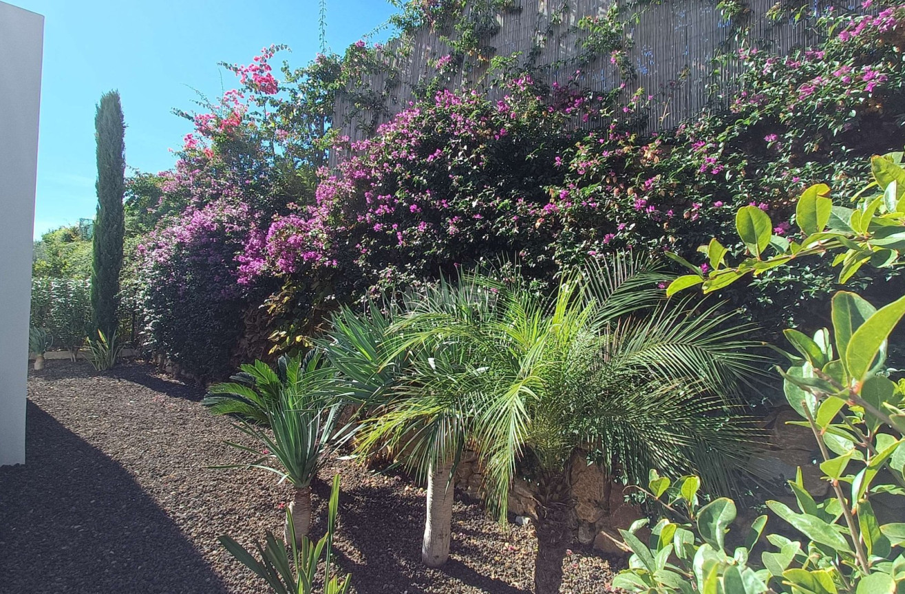 Odsprzedaż - Villa - Algorfa - Inland