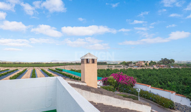 Odsprzedaż - Villa - San Miguel de Salinas - Inland