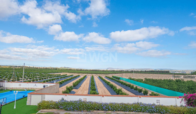 Odsprzedaż - Villa - San Miguel de Salinas - Inland