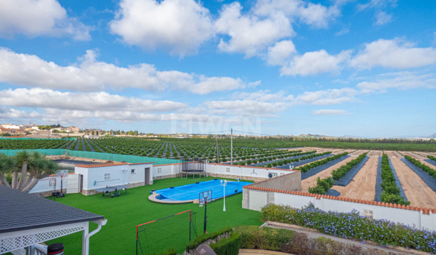 Odsprzedaż - Villa - San Miguel de Salinas - Inland