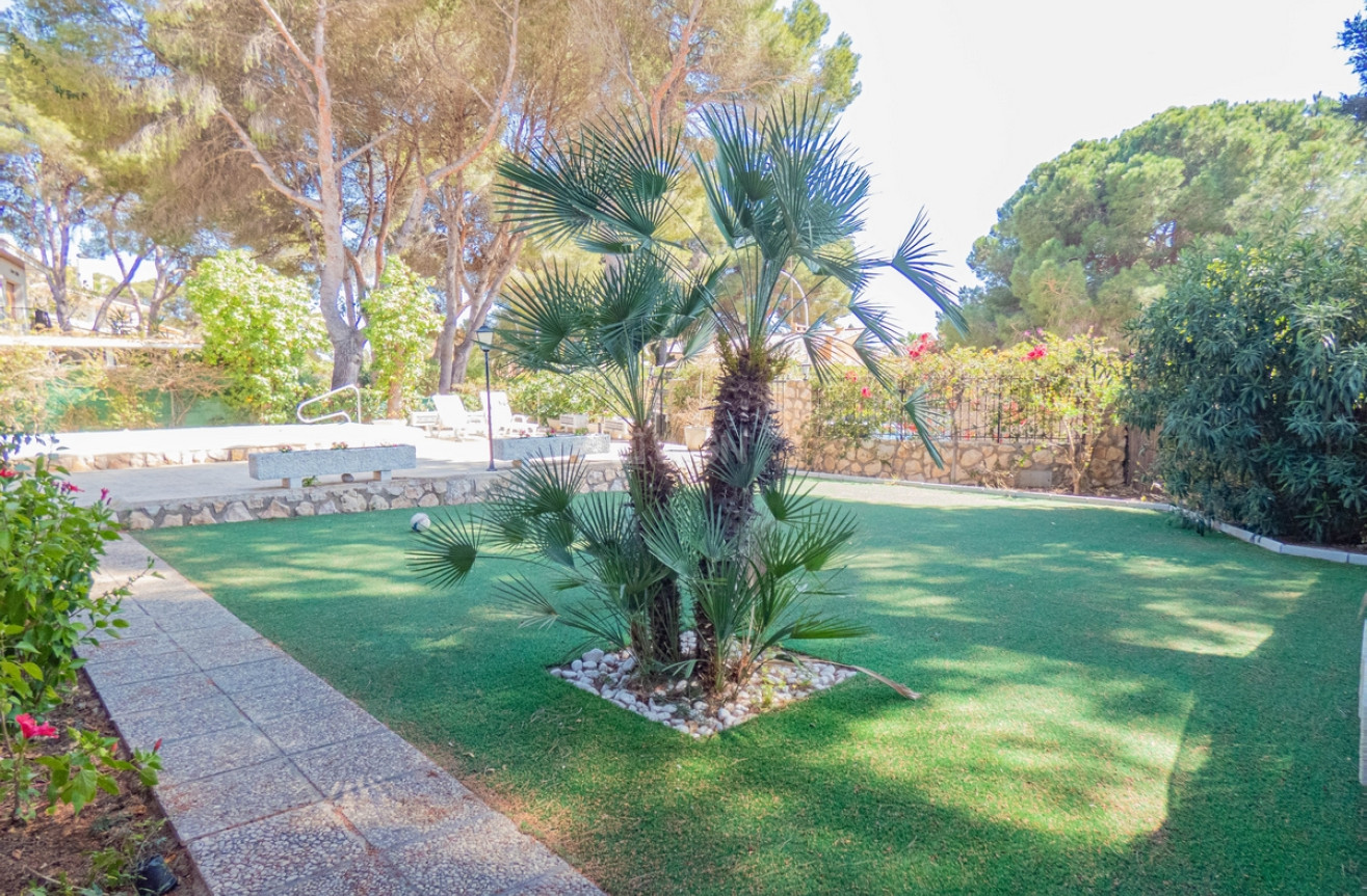 Odsprzedaż - Villa - Dehesa de Campoamor - Costa Blanca