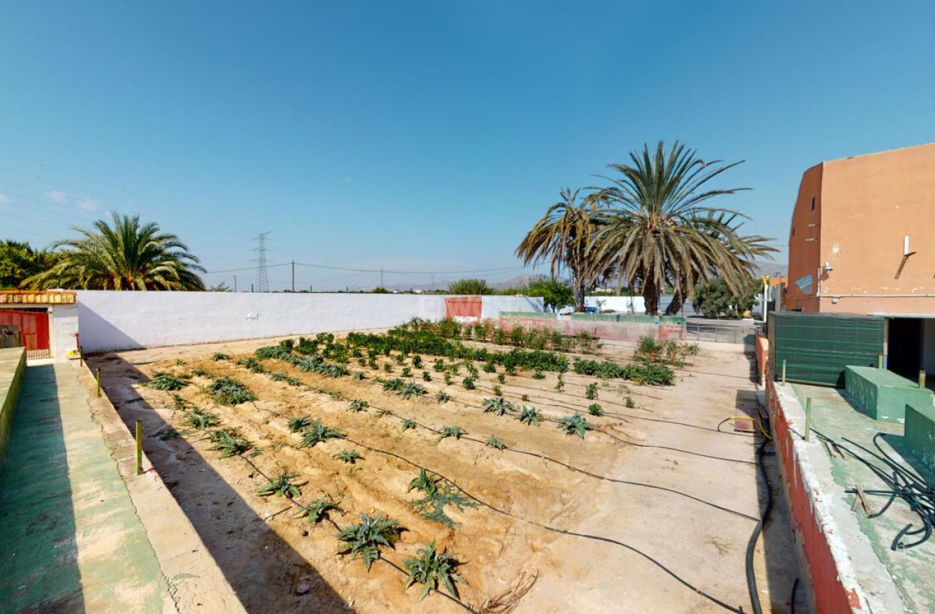 Wiederverkauf - Stadthaus - Albatera - Inland