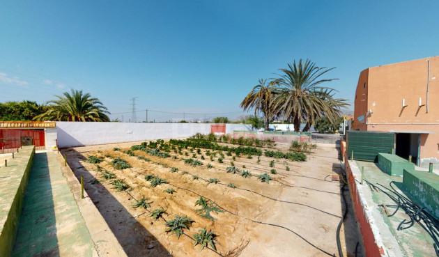 Wiederverkauf - Stadthaus - Albatera - Inland