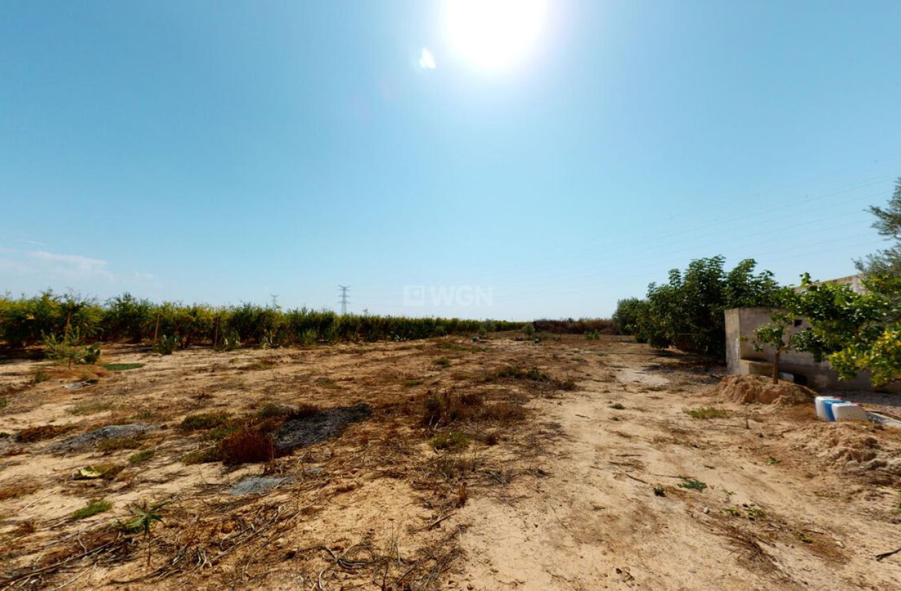 Wiederverkauf - Stadthaus - Albatera - Inland