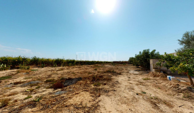 Wiederverkauf - Stadthaus - Albatera - Inland