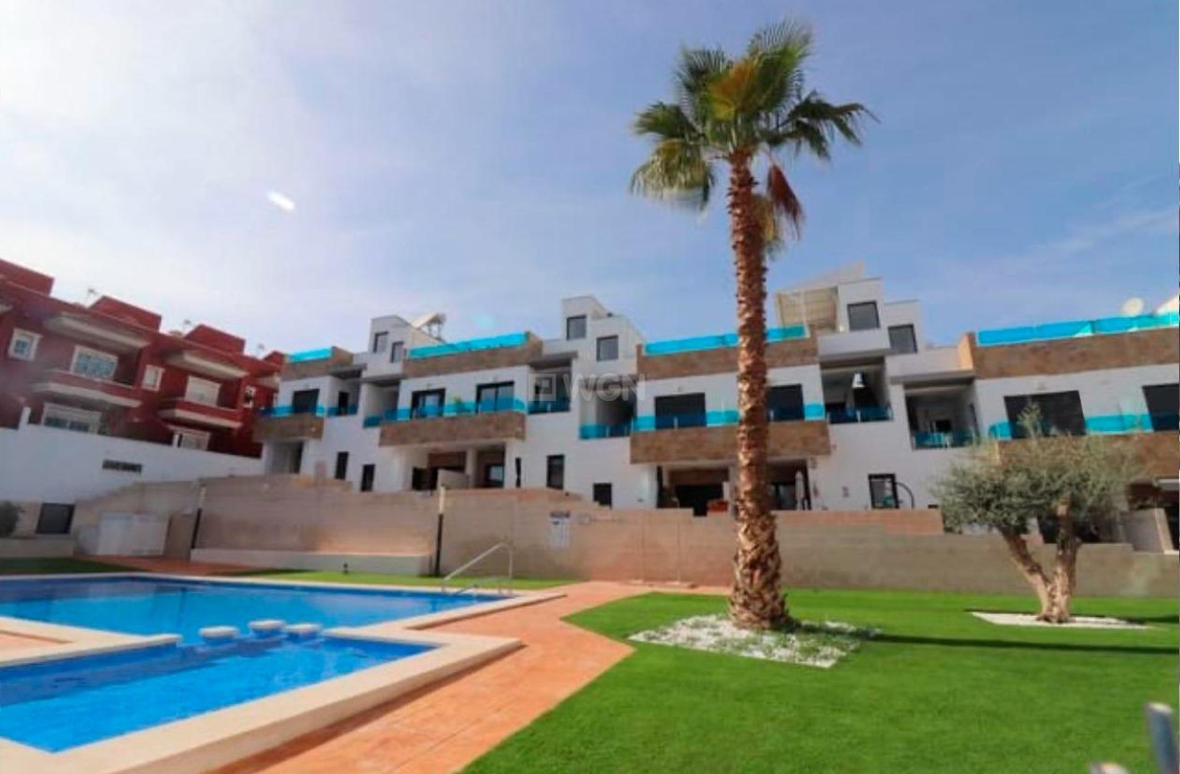 Nowy budynek - Kamienica - Bigastro - pueblo