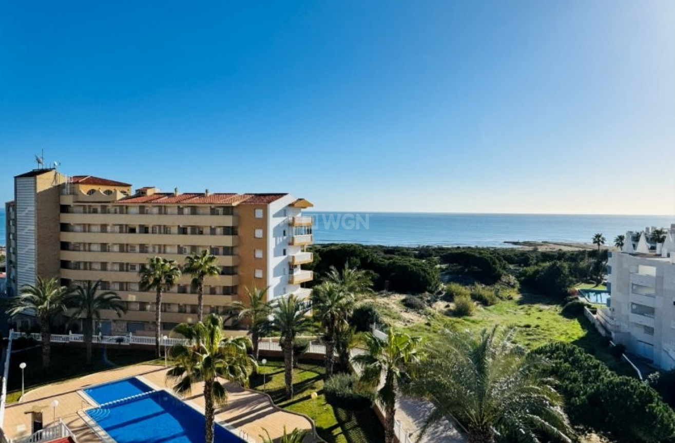 Wiederverkauf - Penthouse - La Mata - Costa Blanca