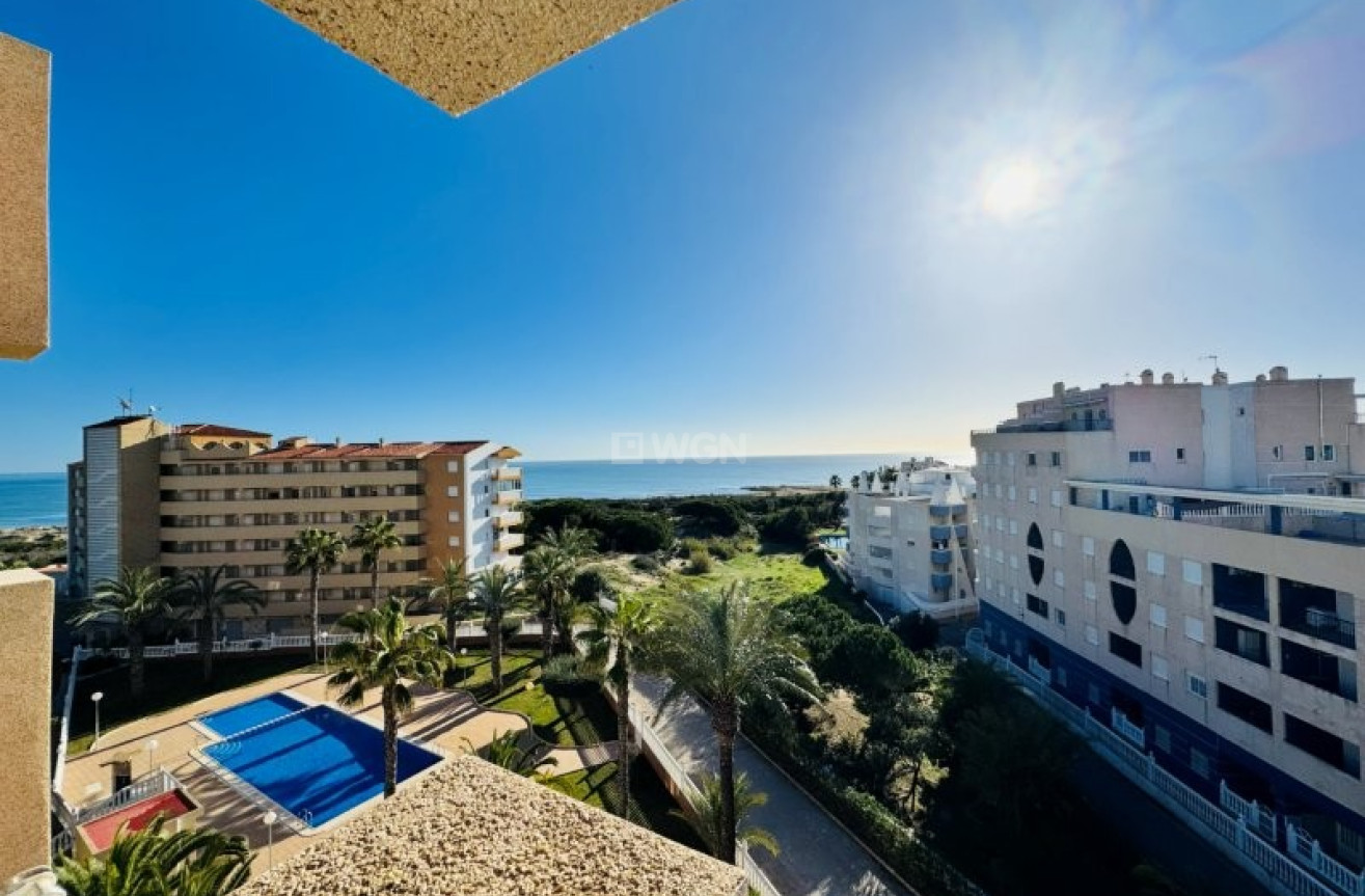 Wiederverkauf - Penthouse - La Mata - Costa Blanca