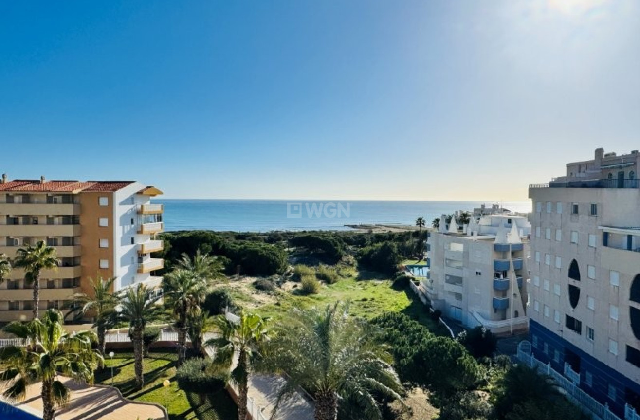 Wiederverkauf - Penthouse - La Mata - Costa Blanca