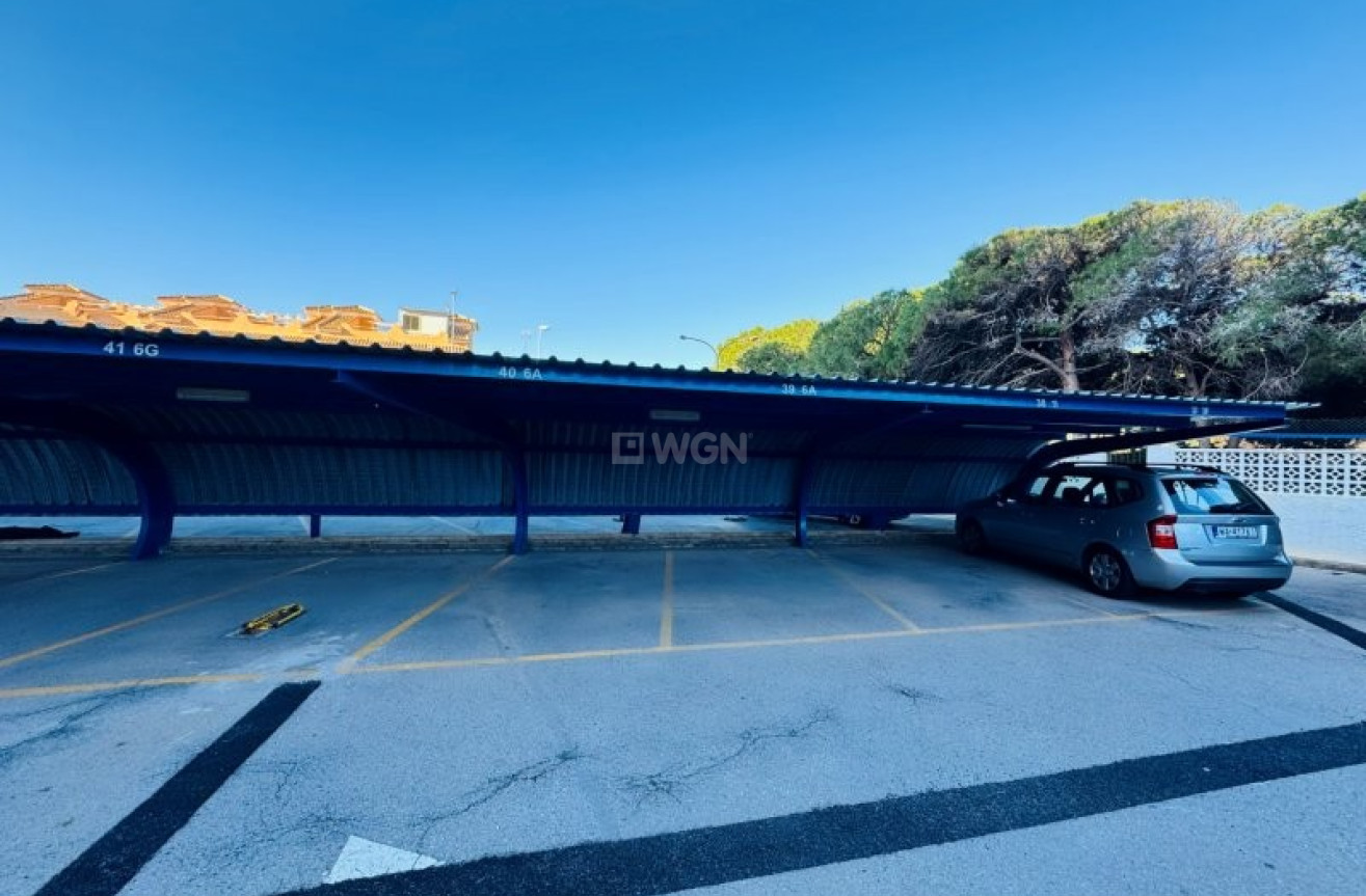 Wiederverkauf - Penthouse - La Mata - Costa Blanca