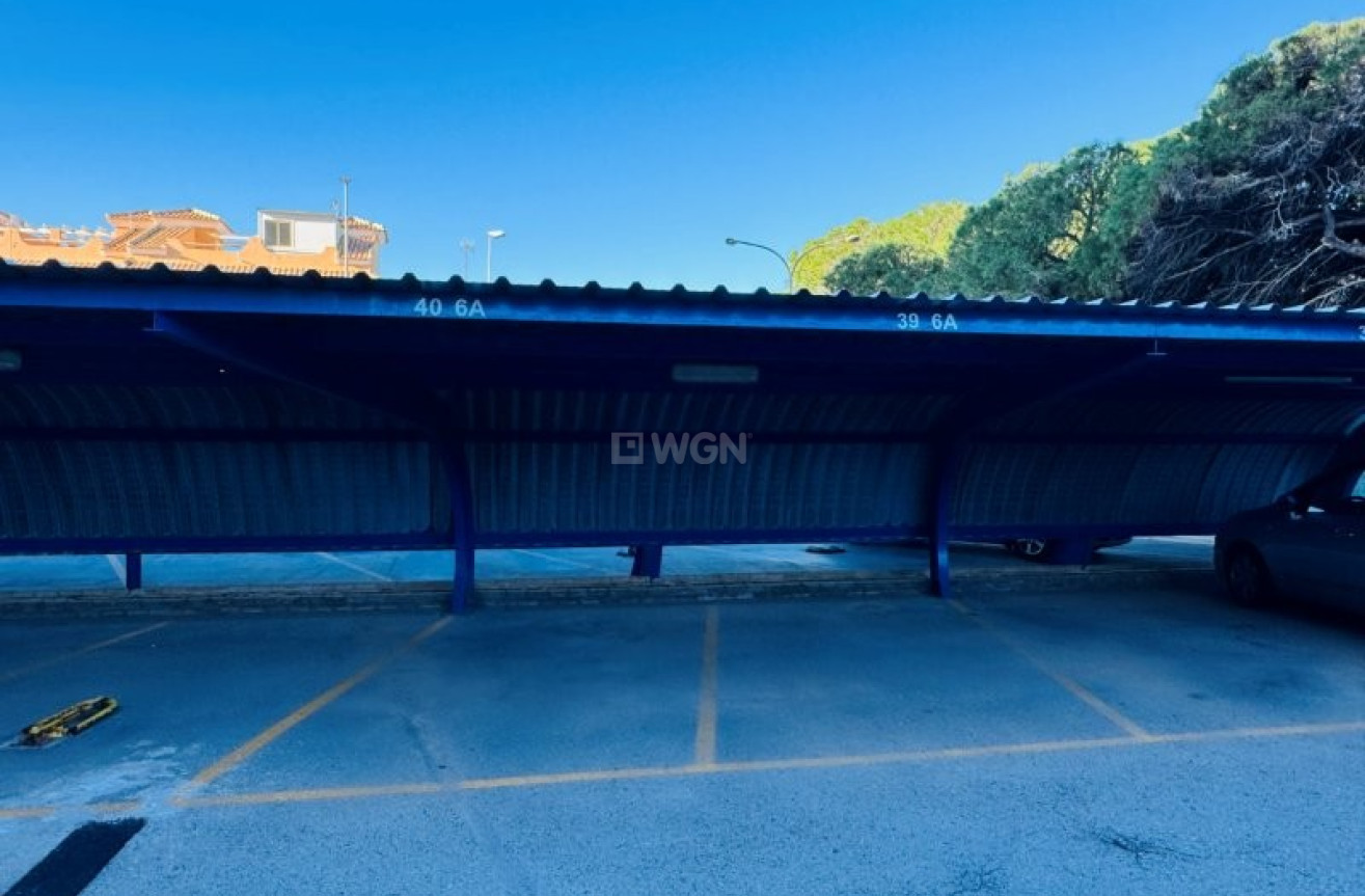 Wiederverkauf - Penthouse - La Mata - Costa Blanca