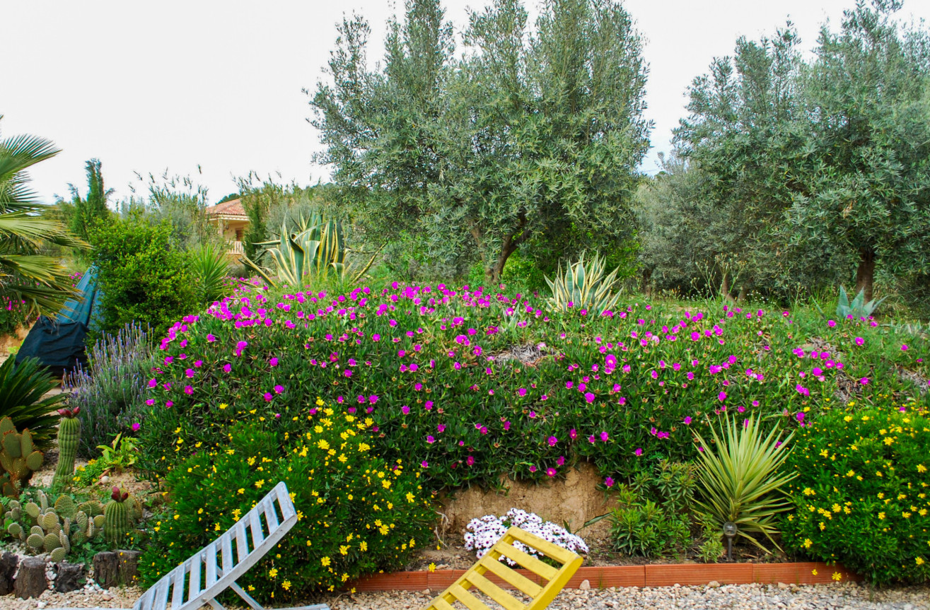 Odsprzedaż - Villa - Pliego - Inland