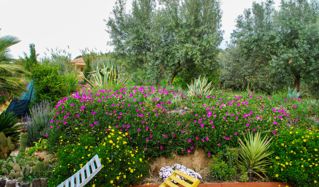 Odsprzedaż - Villa - Pliego - Inland