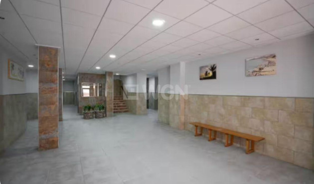 Odsprzedaż - Mieszkanie w bloku - Torrevieja - La Mata Pueblo