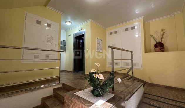 Odsprzedaż - Mieszkanie w bloku - Torrevieja - Estacion De Autobuses