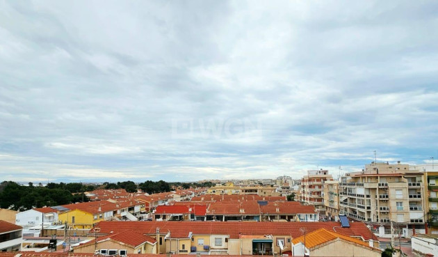 Odsprzedaż - Mieszkanie w bloku - Torrevieja - Playa De Los Naufragos