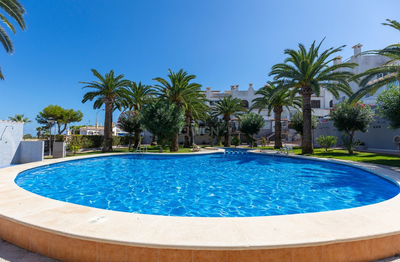 Odsprzedaż - Mieszkanie w bloku - La Mata - Costa Blanca