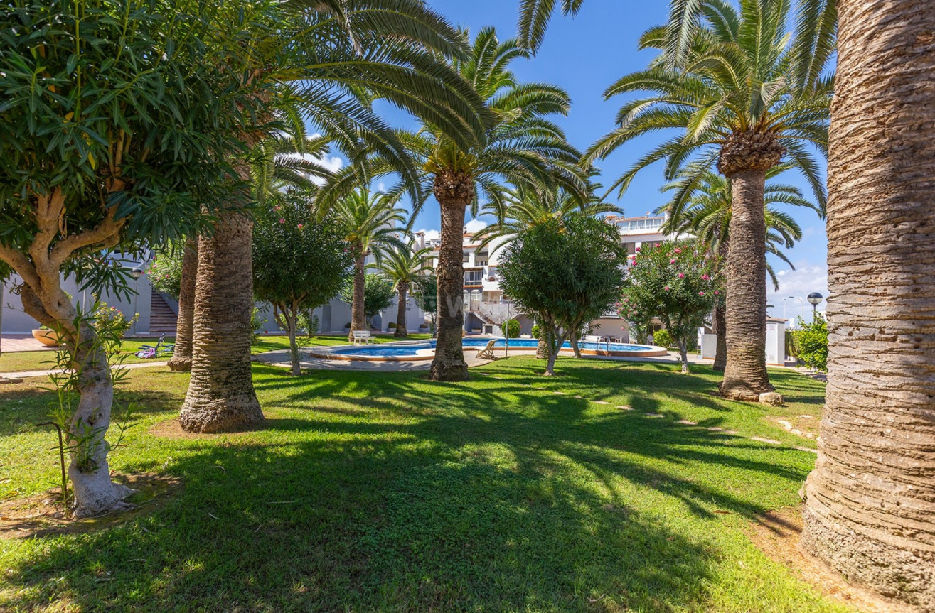 Odsprzedaż - Mieszkanie w bloku - La Mata - Costa Blanca