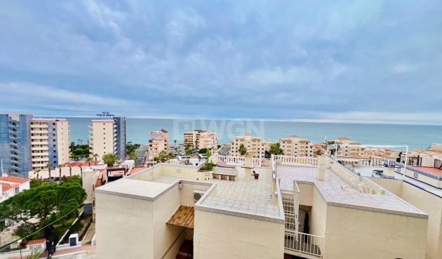 Odsprzedaż - Mieszkanie w bloku - Torrevieja - Miramar - Torre Del Moro