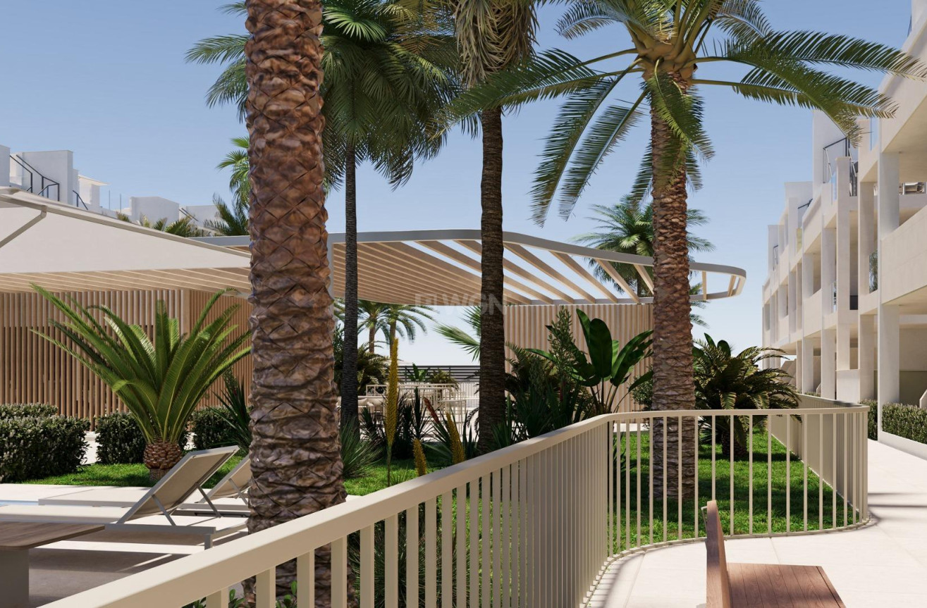 Obra nueva - Ático - Torre Pacheco - San Cayetano