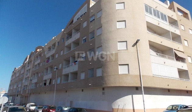 Wiederverkauf - Penthouse - Torrevieja