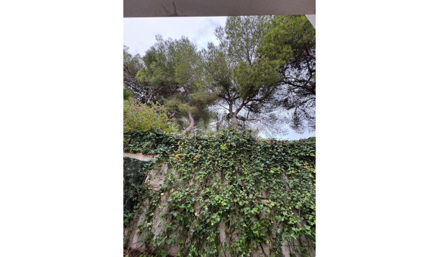 Odsprzedaż - Kamienica - Torrevieja - Punta Prima