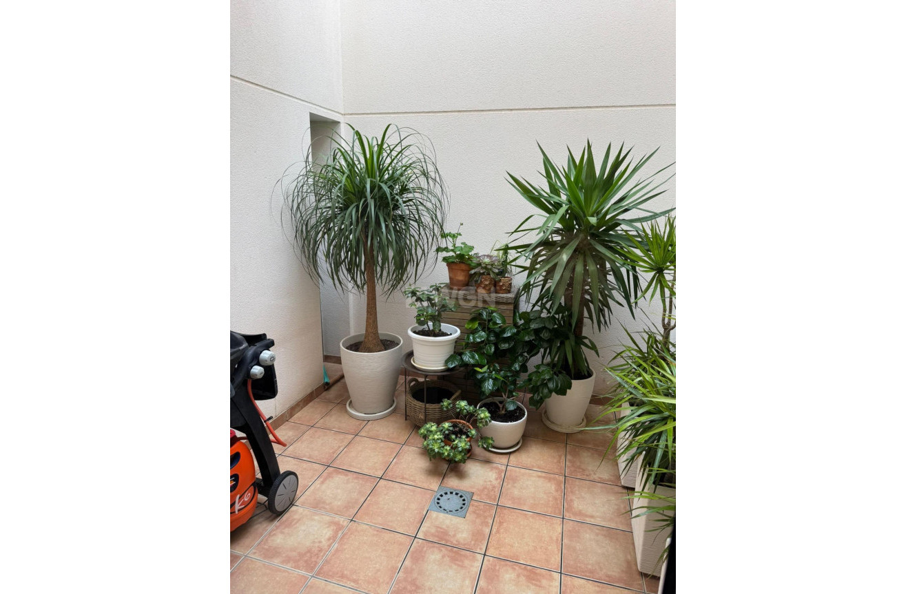 Odsprzedaż - Kamienica - Torrevieja - Punta Prima