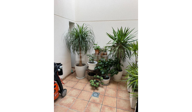 Odsprzedaż - Kamienica - Torrevieja - Punta Prima