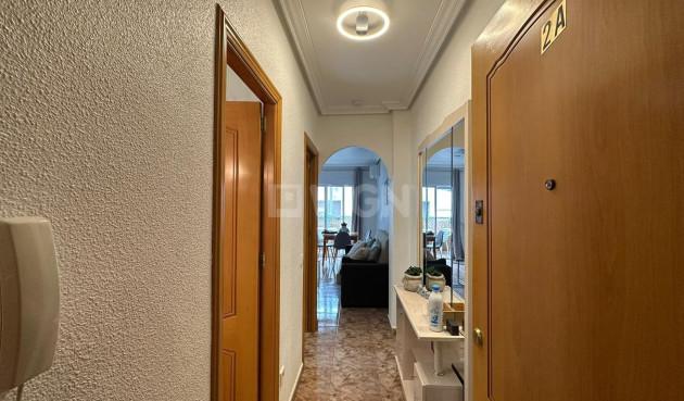 Odsprzedaż - Mieszkanie w bloku - Torrevieja - Estacion De Autobuses