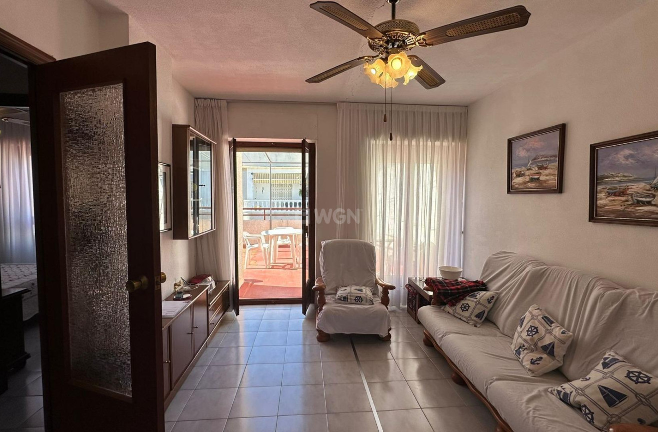 Odsprzedaż - Daszek - Torrevieja - Estacion De Autobuses