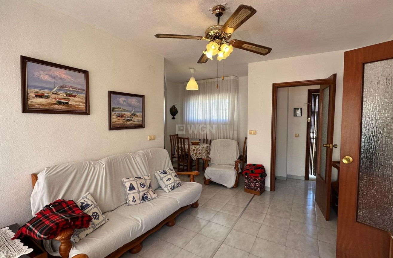 Odsprzedaż - Daszek - Torrevieja - Estacion De Autobuses