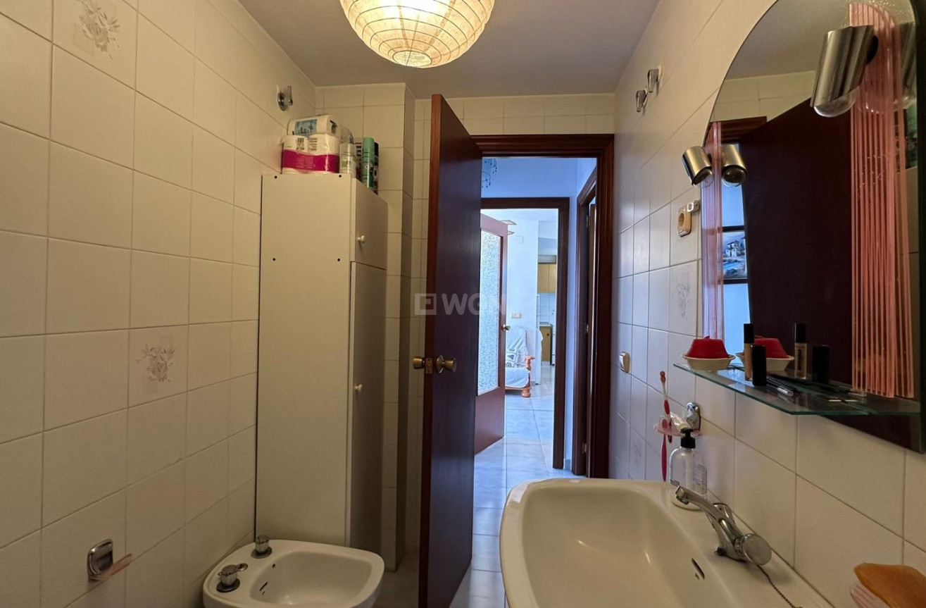 Odsprzedaż - Daszek - Torrevieja - Estacion De Autobuses