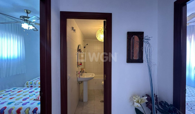 Odsprzedaż - Daszek - Torrevieja - Estacion De Autobuses