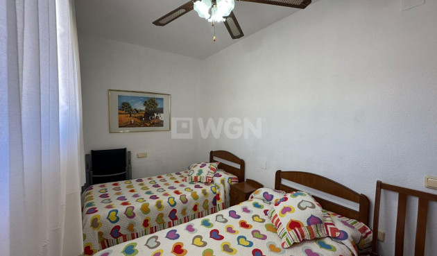 Odsprzedaż - Daszek - Torrevieja - Estacion De Autobuses