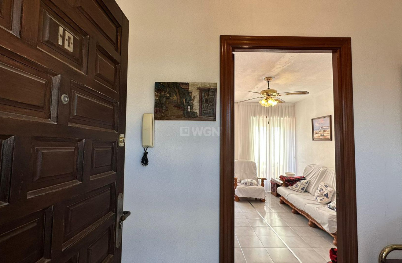 Odsprzedaż - Daszek - Torrevieja - Estacion De Autobuses