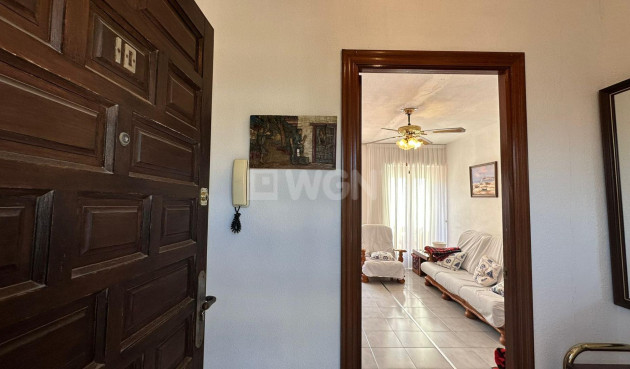 Odsprzedaż - Daszek - Torrevieja - Estacion De Autobuses