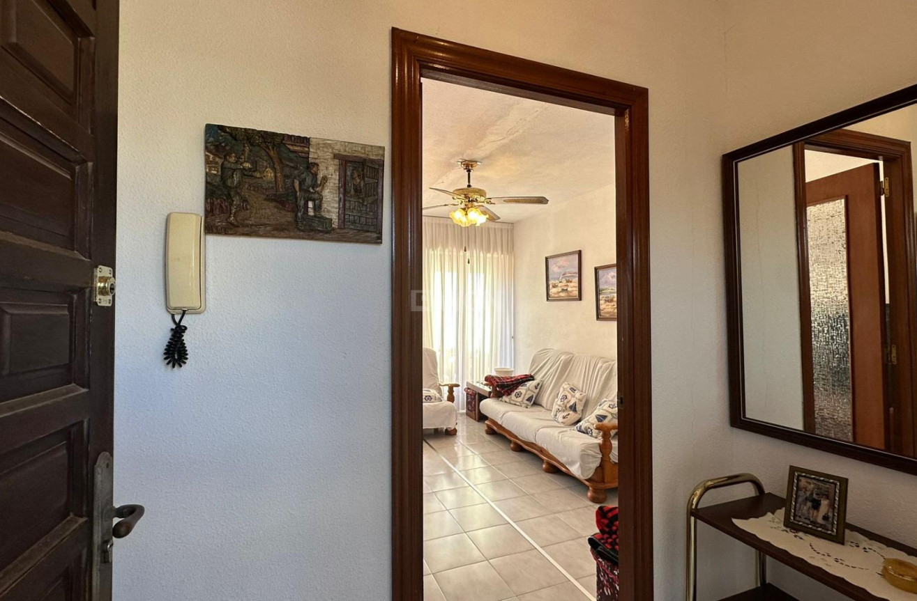 Odsprzedaż - Daszek - Torrevieja - Estacion De Autobuses