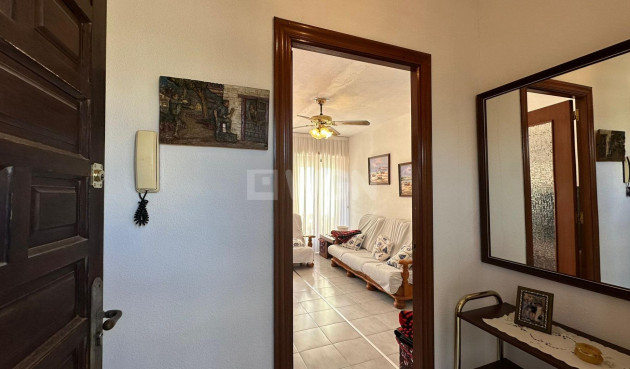 Odsprzedaż - Daszek - Torrevieja - Estacion De Autobuses