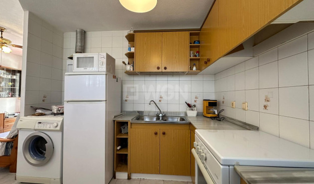 Odsprzedaż - Daszek - Torrevieja - Estacion De Autobuses